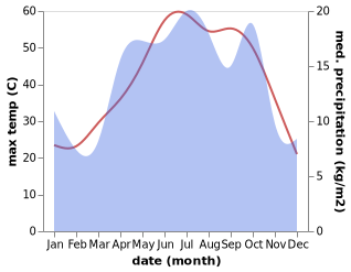 temperature and rainfall during the year in Qir
