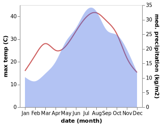 temperature and rainfall during the year in Altedo