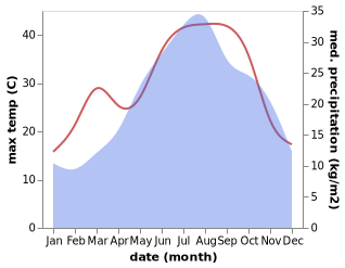 temperature and rainfall during the year in Bagnacavallo