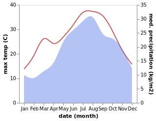 temperature and rainfall during the year in Bellaria-Igea Marina