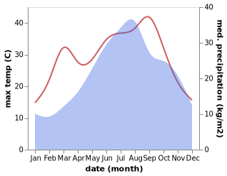 temperature and rainfall during the year in Codigoro