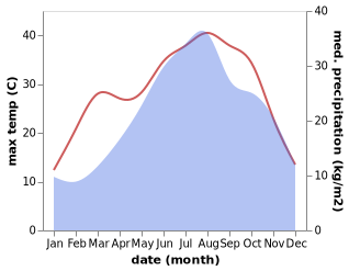 temperature and rainfall during the year in San Carlo