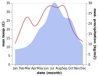 temperature and rainfall during the year in Montaldo Bormida