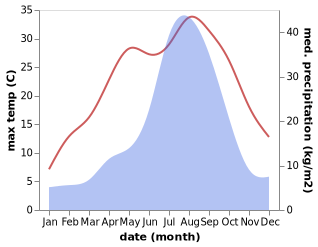 temperature and rainfall during the year in Mizunami