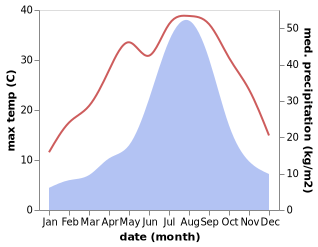 temperature and rainfall during the year in Okunoya