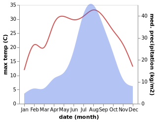 temperature and rainfall during the year in Nirasaki