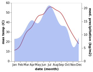 temperature and rainfall during the year in Bayaldyr