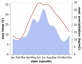 temperature and rainfall during the year in Ömirzaq