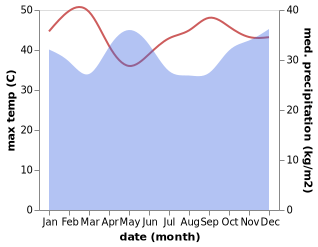 temperature and rainfall during the year in Magadi