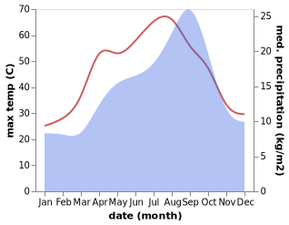 temperature and rainfall during the year in Mizdah