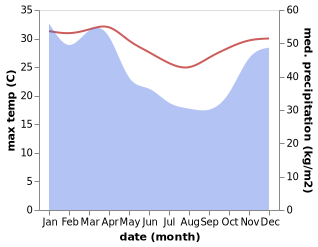 temperature and rainfall during the year in Ambodifotatra