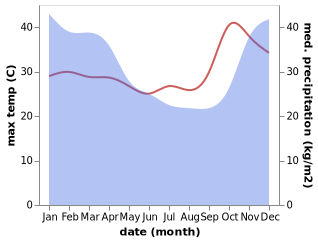 temperature and rainfall during the year in Antsirabe Afovoany