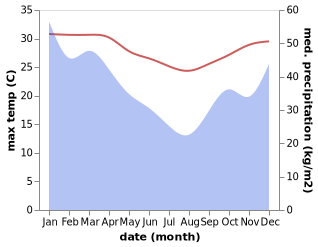 temperature and rainfall during the year in Savana