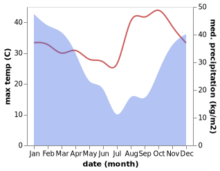 temperature and rainfall during the year in Blantyre