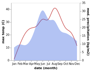 temperature and rainfall during the year in Briceni