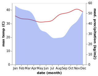 temperature and rainfall during the year in Cidade de Nacala