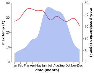 temperature and rainfall during the year in Falam