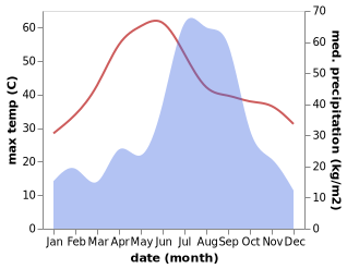 temperature and rainfall during the year in Nepalgunj