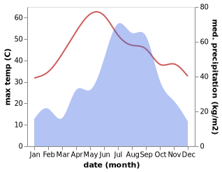 temperature and rainfall during the year in Birgunj