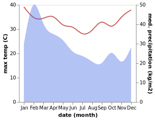 temperature and rainfall during the year in Tadine