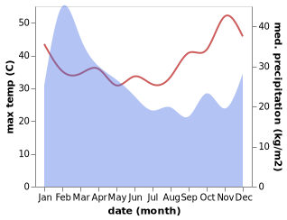 temperature and rainfall during the year in Touho