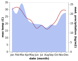 temperature and rainfall during the year in Kerepehi