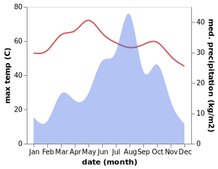 temperature and rainfall during the year in Alaghsas