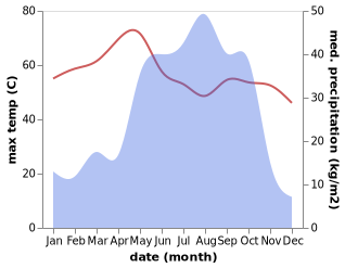 temperature and rainfall during the year in Birni N Konni