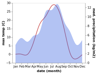 temperature and rainfall during the year in Bismo