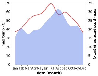 temperature and rainfall during the year in Adam