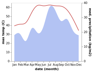 temperature and rainfall during the year in Al Liwa