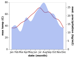 temperature and rainfall during the year in Buraimi