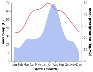 temperature and rainfall during the year in Sohbatpur