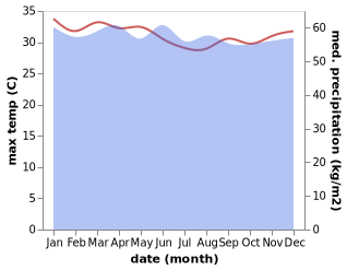 temperature and rainfall during the year in Kokopo