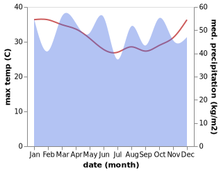 temperature and rainfall during the year in Alotau