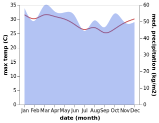 temperature and rainfall during the year in Port Moresby