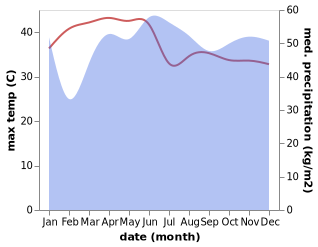 temperature and rainfall during the year in Datu Paglas