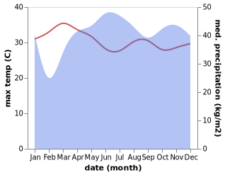 temperature and rainfall during the year in Parang