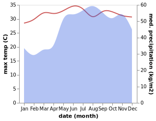 temperature and rainfall during the year in Busing