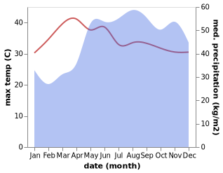 temperature and rainfall during the year in Catabangan