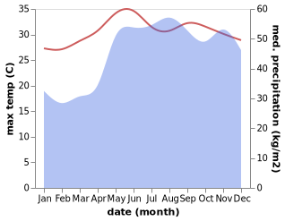 temperature and rainfall during the year in Magallanes