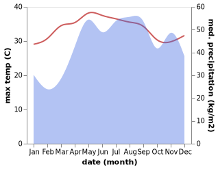 temperature and rainfall during the year in Taguing