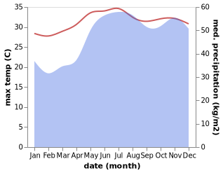 temperature and rainfall during the year in Patao