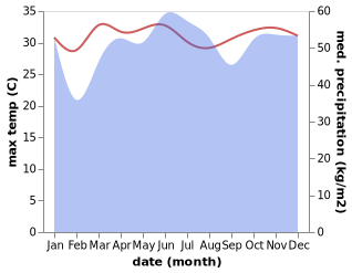 temperature and rainfall during the year in Bukid