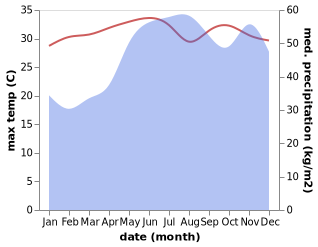 temperature and rainfall during the year in Malajog