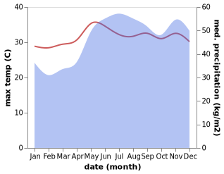 temperature and rainfall during the year in Mayorga