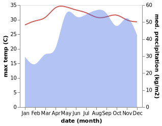 temperature and rainfall during the year in Abra de Ilog