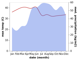 temperature and rainfall during the year in Adela