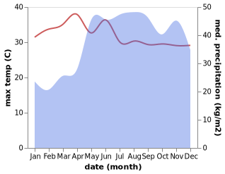 temperature and rainfall during the year in Apitong