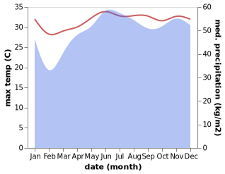 temperature and rainfall during the year in Pines